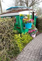 Plastic baskets on table and in front of the green caravan, filled with Hyacinths, Tulipa 'Purple Prince', Narcissus 'Rip van Winkle', Anemaona blanda and Myosotis.
