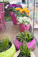 Pots and bags filled with colourful flowers including tulips, hyacinths, saxifraga touran and blue muscari.