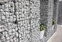 Fence of stones with several white pots filled with Muscari 'White Magic'
