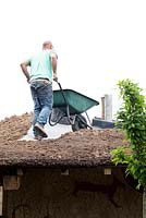 Building the chimney on the roof of the barn. Walking with wheelbarrow and moving the stones.