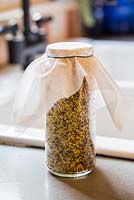 Jar of sprouting Alfalfa Seed