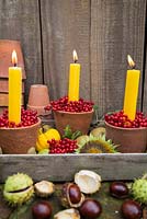 Terracotta pot candle holders with Viburnum opulus, Gourds and Horse Chestnut seeds (Aesculus hippocastanum)