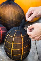 Tying a pair of tights around a pumpkin