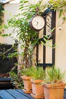 Containers on wooden table and clock in background in small courtyard garden 
