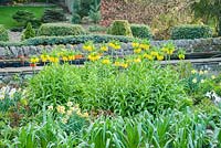Crown imperials, Fritillaria imperialis, in yellows and oranges dominate planting in the Canal Garden in April, surrounded by narcissi and pulmonarias and mounds of new delphinium foliage. The pinetum is seen beyond the raised canal