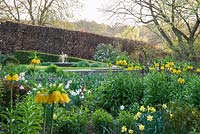 Bed in the Canal Garden is full of crown imperials, Fritillaria imperialis, narcissi and pulmonarias, with water feature glimpsed beyond, the focal point of Sybil's Garden, designed by Alistair Baldwin in 2005. 
