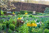 Bed in the Canal Garden is full of crown imperials, Fritillaria imperialis, narcissi and pulmonarias, with water feature glimpsed beyond, the focal point of Sybil's Garden, designed by Alistair Baldwin in 2005