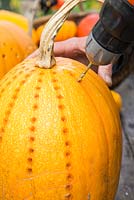 Drilling holes along the grooves of a pumpkin