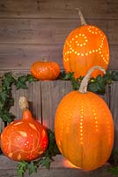 Display of pumpkins with carved and drilled decorations