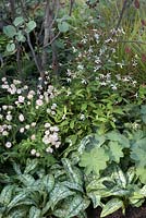 Plants include Gillenia trifoliata, white astrantia and alchemilla mollis. 'Four Corners'. RHS Hampton Court Flower Show 2013.  