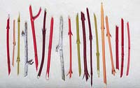 Colourful twigs