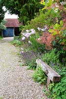 Rustic wooden seat on driveway with Phlox, Salvia and Cotinus in border