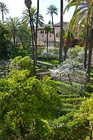 Overlooking The Ladies Garden from the Galera del Grutesco at the Real Alcazar, Seville, Andalusia, Spain