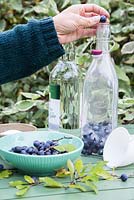 Placing fruit into glass bottle