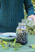 Adding gin to sloes in glass jar