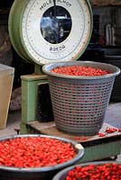 Weighing rosehips