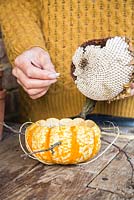Removing sunflower seeds from sunflower and adding to hollow Pumpkin
