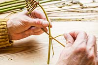 Weaving the Willow to create tail shape