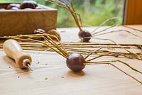 Conker spiders made from Conkers, Willow and Fishing Line