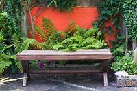 Small town garden with wooden bench, ferns and slate tiled floor. 
