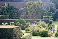 Planting within box hedge compartments and clipped topiary. Parkhead Garden