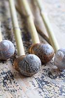 Step by step of making snail shell cane toppers - Detail of the finished cane toppers