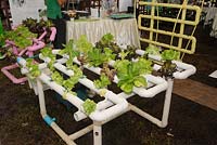 Stall demonstration of Nutrient Film Technique - NFT Hydroponics used to grow salad crops 