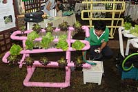 Stall demonstrating Nutrient Film Technique Hydroponics used to grow salad crops