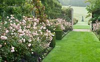 The Pear and Rose Garden - looking towards the espaliered pear trees and Rosa 'Irene Watts'   Pashley Manor Gardens, East Sussex.