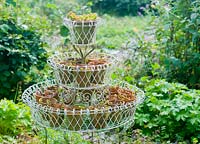 Victorian plant wire stand with vintage terracotta pots