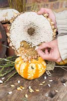 Filling pumpkin bird feeder with sunflower seeds