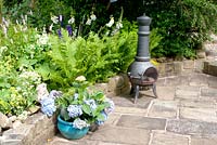 Curved stone patio with Hydrangea in pot and chiminea and backed by raised bed with Persicaria Alchemilla mollis Digitalis Delphinium and fern
