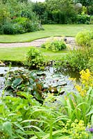 Natural garden pond with Nymphaea Caltha and Mimulus - Monkey flower in cottage garden with lawn gravel path and mature herbaceous border