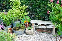 Collection of vintage galvanised buckets and containers with Lupinus shrubs and aquatic plants in small pond and rustic bench made of drift wood by Fagus hedge in corner of graveled cottage garden 