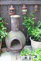 Stone chiminea burner on patio with wooden fence holding vintage metal lamps. Rosa in pot and Auricula in old galvanised milk bottle container