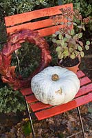 Autumnal display of Parthenocissus tricuspidata wreath and pumpkin 'Crown Prince'