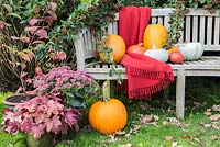 Autumnal display of pumpkins on garden bench. 'Crown Prince', 'Mammoth' and 'Uchiki Kuri'.