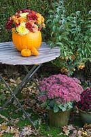 Autumnal display using pumpkin 'Mammoth' as container for mixed Chrysanthemums. Pumpkin 'Jack be Little'