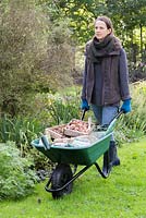 Woman moving wheelbarrow of garden tools and winter bulbs to plant out.