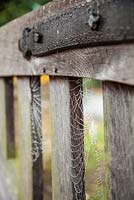 Close up detail of gate with dew on cob web