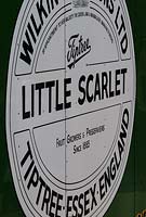 Little Scarlet - jam sign on the side of a van at Tiptree Jams, Wilkin and Sons Ltd