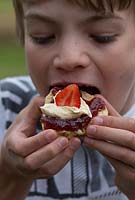 Boy eating Tiptree 'Little Scarlet' Strawberry Jam on a scone with clotted cream and a fresh strawberry