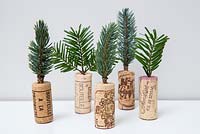 Miniature christmas trees made using wine corks