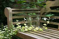 Teak bench with two glass bells and Helichrysum petiolare 'Limelight'