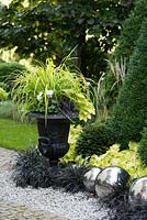 Black iron flower pot planted with Carex oshimensis 'Everillo', white cyclamen,  Ophipogon planiscapus 'Nigrescens' and  Heuchera hybrid 'Key Lime Pie' on the gravel border decorated with Three reflective silver balls.