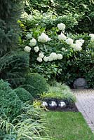 Three reflective silver balls amongst Carex and Hydrangea 'Limelight' 
