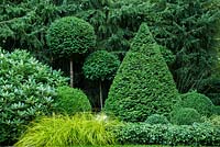 Clipped evergreen Taxus and Buxus topiary with yellowish Carex oshimensis 'Everillo' and Pachysandra terminalis as a border.