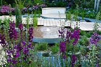 RBC Blue Water Roof Garden. Gold medal. RHS Chelsea Flower Show 2013. Circular water feature with planting including Verbascum phoeniceum 'Violetta'
