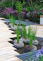 RBC Blue water Roof Garden, Gold medal winner, Chelsea Flower Show 2013. Juncus effusus in circular stone pots in shallow water along timber path with Lychinis flos-cuculi and Lychinis flos-cuculi 'Alba' along the edge