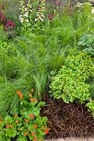 Planting includes Stipa tenuissima, Geum 'Princess Juliana', Uncinia rubra, Euphorbia martinii, Iris and Digitalis.